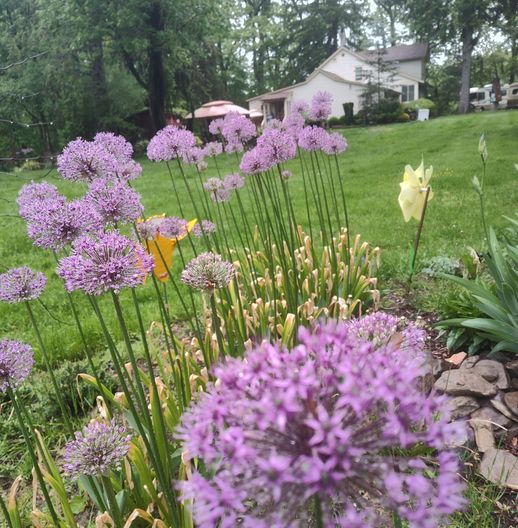 flowers