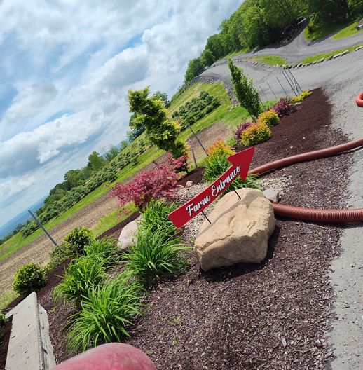 flower beds
